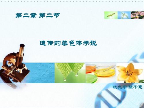 2.2 遗传的染色体学说