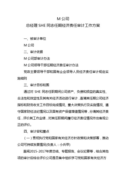 国有企业领导同志任期经济责任审计工作方案