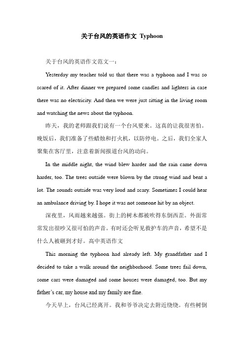 关于台风的英语作文 Typhoon