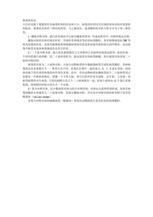 病毒的形态 