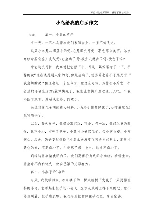 小鸟给我的启示作文