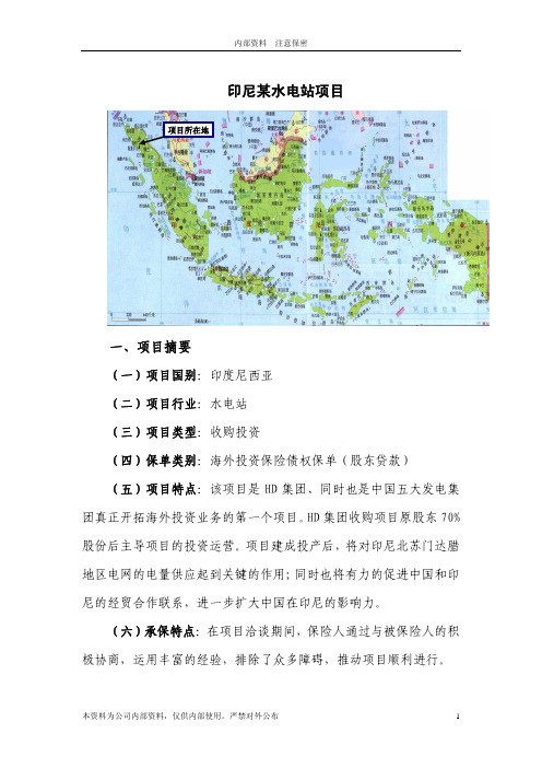 案例11-印尼某水电站项目