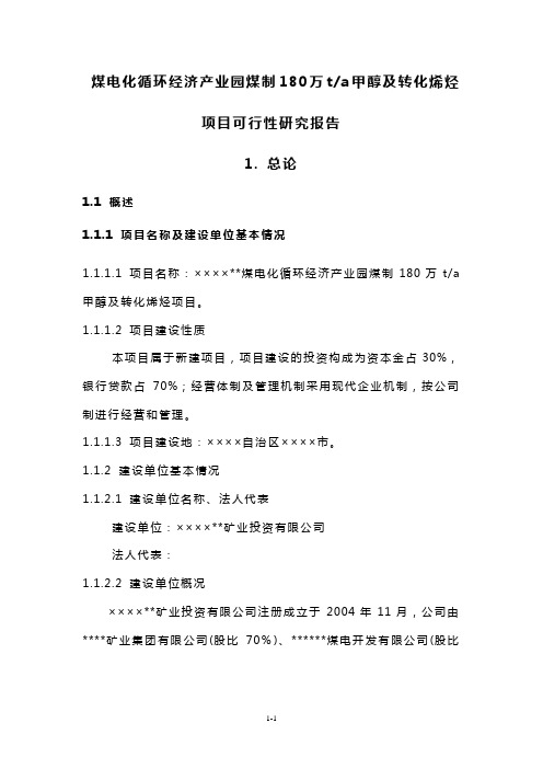 甲醇及转化烯烃项目可行性研究报告