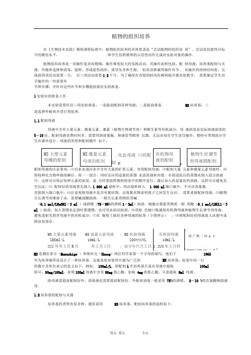 中图版选修一植物快速繁殖技术1教案