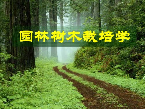 园林树木栽培学绪论 +第一章