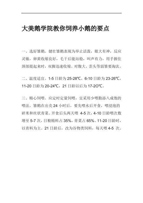 大美鹅学院教你饲养小鹅的要点