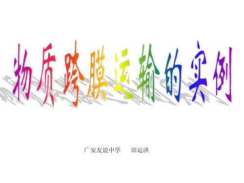 物质跨膜运输实例