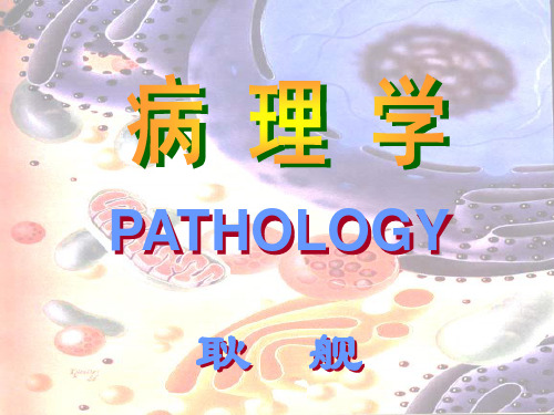 淤血、血栓形成PPT课件