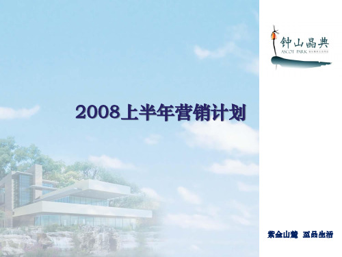 南京市钟山晶典营销计划