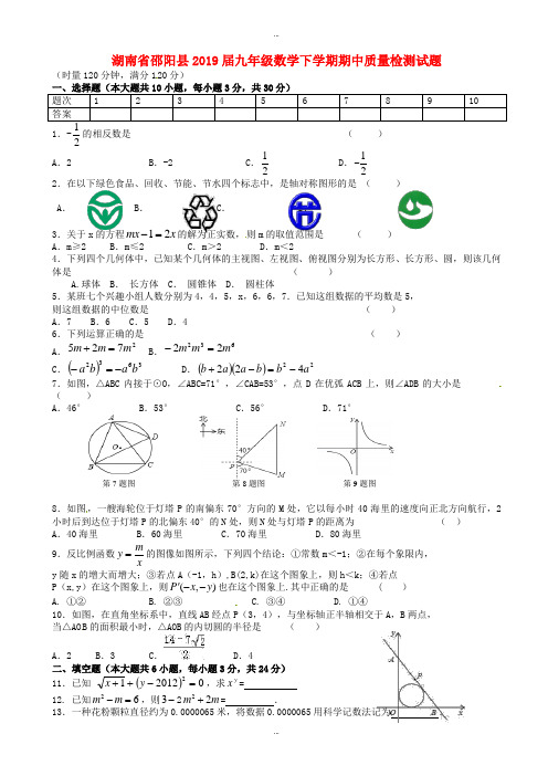 湖南省邵阳县2019届九年级数学下学期期中质量检测试题及参考答案