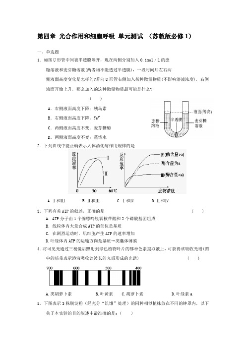苏教版必修1第四章《光合作用和细胞呼吸》word单元测试