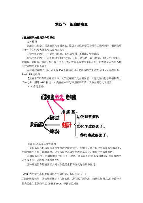 高中生物备课参考 细胞的癌变