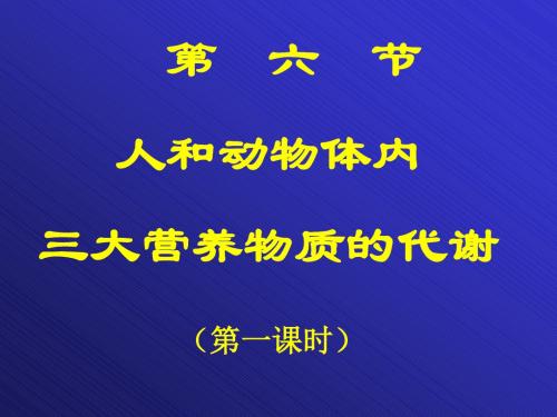高中生物人和动物体内三大营养物质的代谢PPT6 人教版