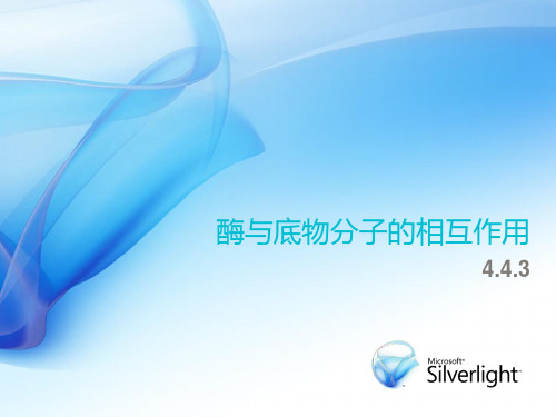 酶及底物分子的相互作用