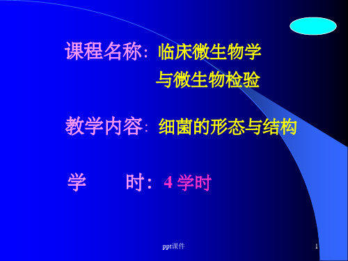 《细菌学总论》PPT课件