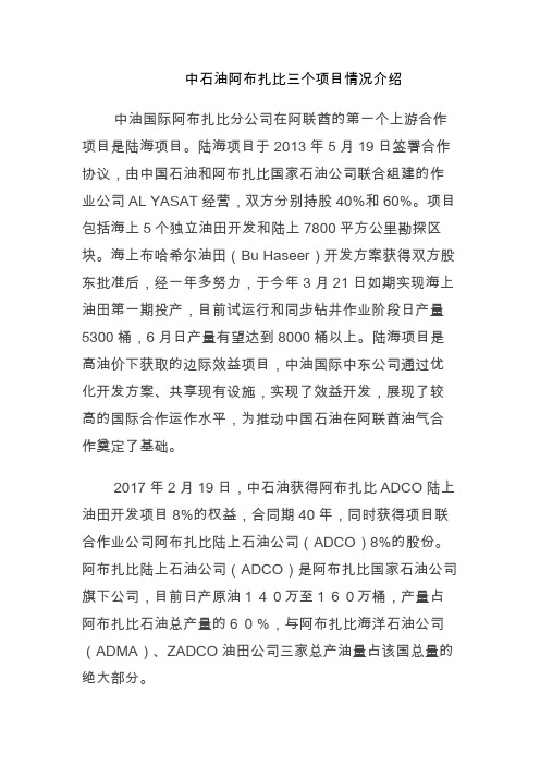 中石油阿布扎比三个项目情况介绍