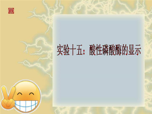 实验十五：酸性磷酸酶的显示