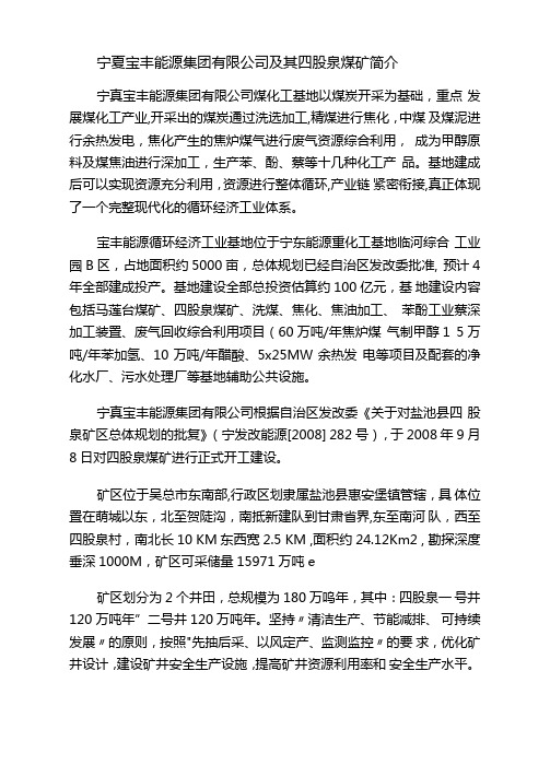 宁夏宝丰能源集团有限公司及其四股泉煤矿简介