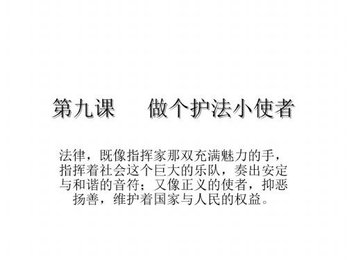 九年级政治做个护法小使者1