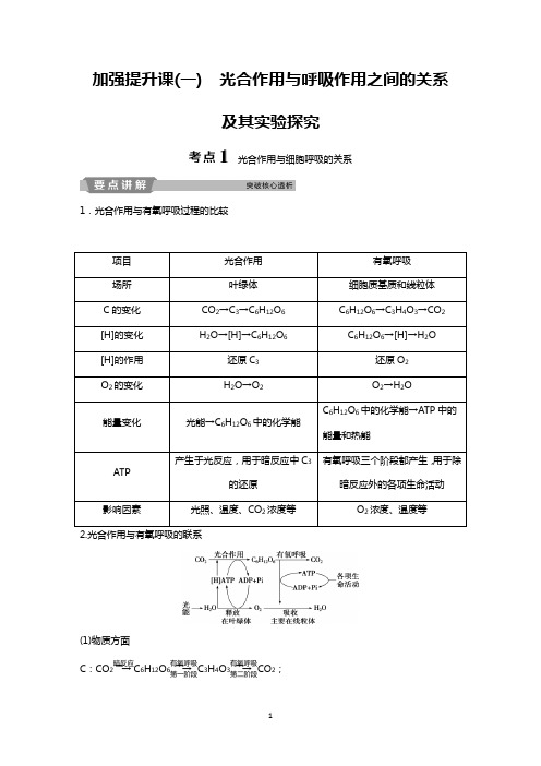 光合作用与呼吸作用之间的关系