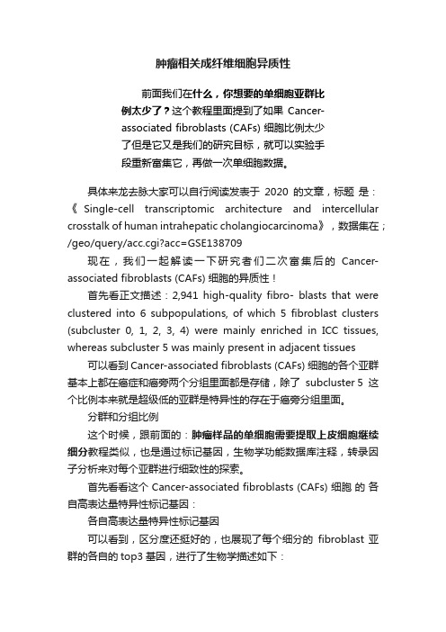 肿瘤相关成纤维细胞异质性