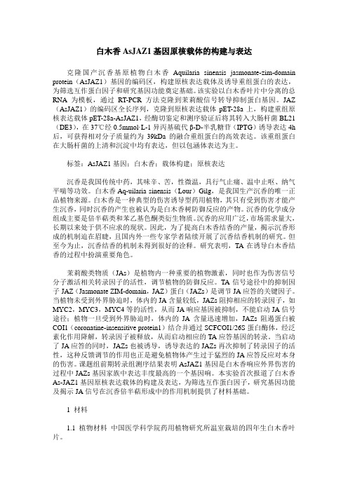 白木香AsJAZ1基因原核载体的构建与表达
