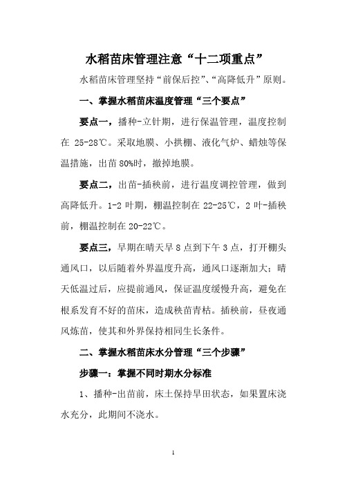 水稻苗床管理十二重点