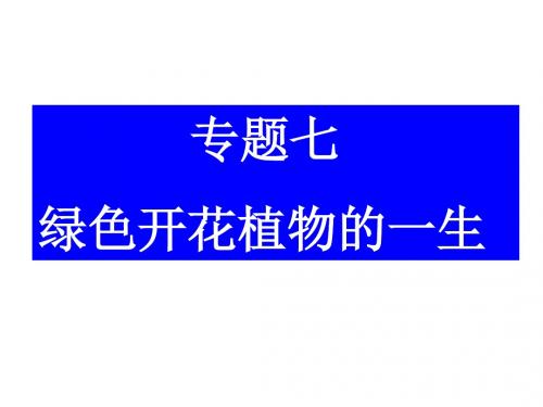 绿色开花植物的一生八年级上册专题复习课件