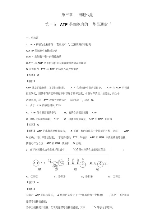 【新教材】3.1ATP是细胞内的“能量通货”练习-浙科版高中生物必修1分子与细胞(解析版)