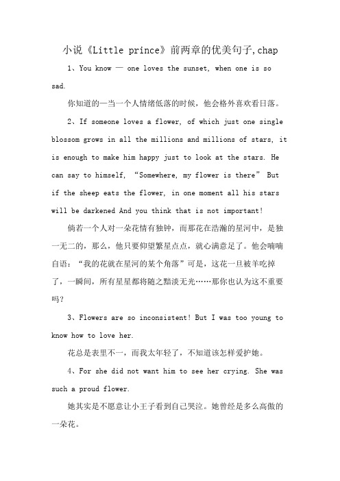 小说《Little prince》前两章的优美句子,chap