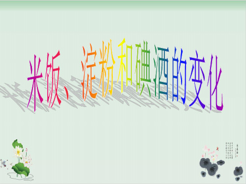 六年级下册科学课件《米饭淀粉和碘酒的变化》 教科版