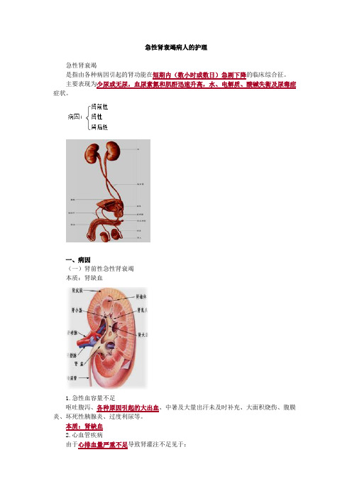 内科护理学-急性肾衰竭病人的护理