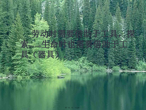 七年级生物上册 1.2.1 探索生命的器具课件1