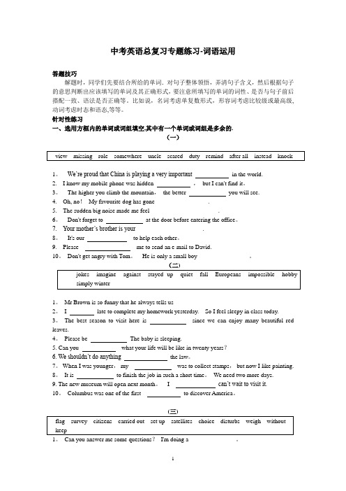 中考英语总复习专题练习-词语运用(含答案)