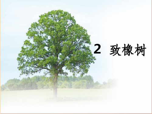 201X年九年级语文上册 第一单元 2 致橡树课件 语文版