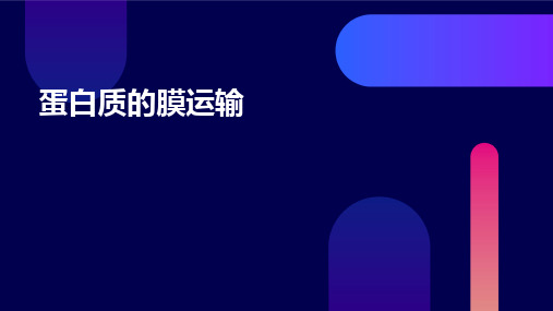 蛋白质的膜运输
