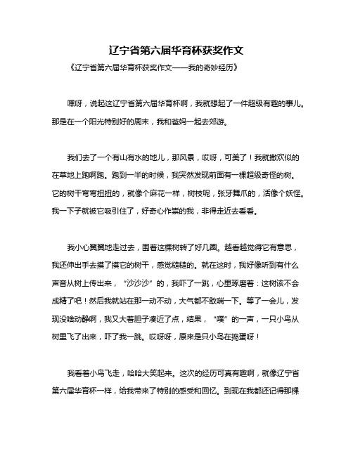 辽宁省第六届华育杯获奖作文