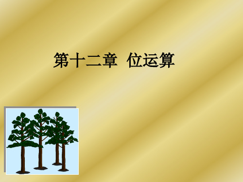 C12位运算