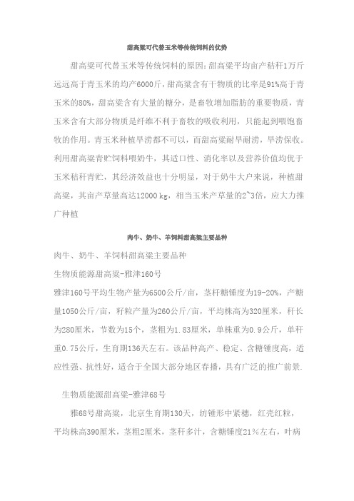 甜高粱可代替玉米等传统饲料的优势