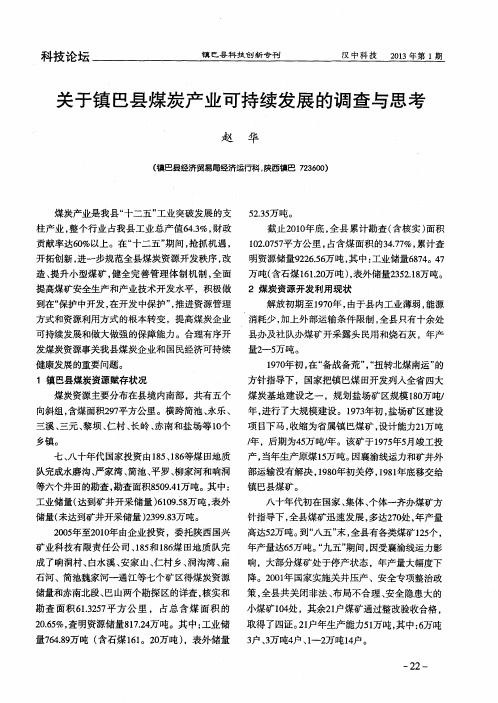 关于镇巴县煤炭产业可持续发展的调查与思考