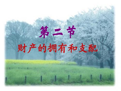 3.2 我们的财产权利 课件3  湘教版八年级上册