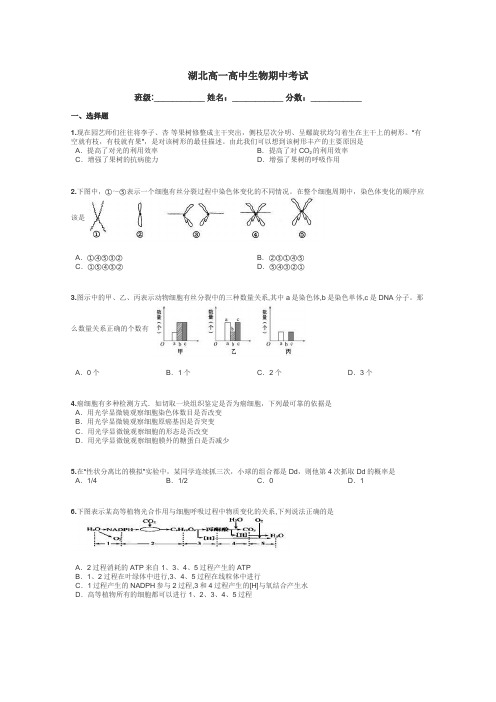 湖北高一高中生物期中考试带答案解析
