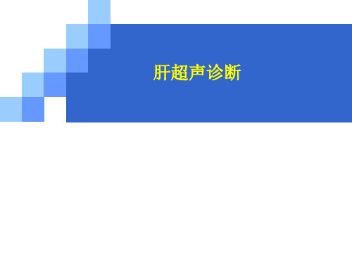 肝超声诊断(63页)