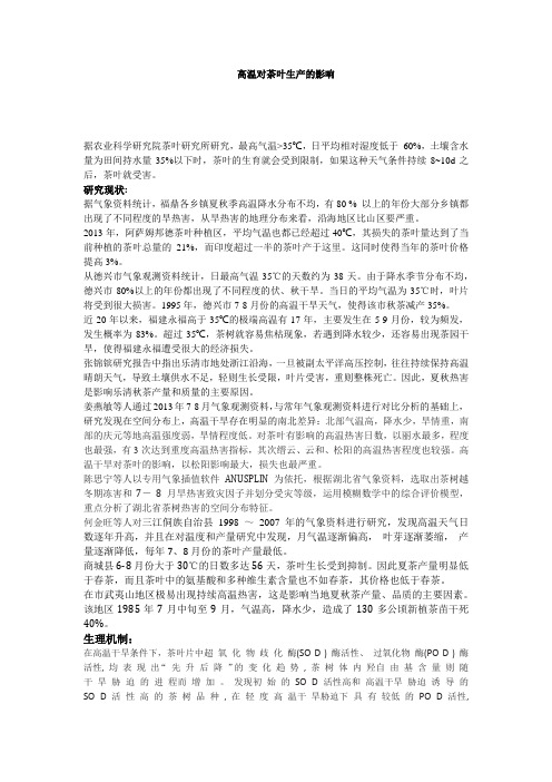 高温对茶叶生产的影响