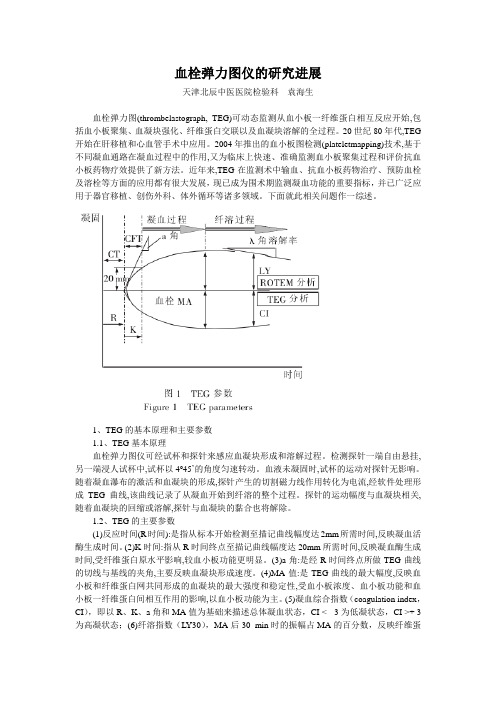 血栓弹力图仪的研究进展