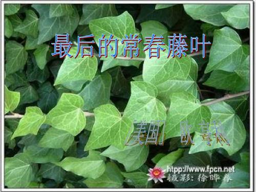 《最后的常春藤叶》复习
