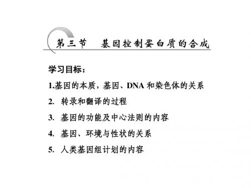 2018届 一轮复习 苏教版 基因控制蛋白质的合成 课件