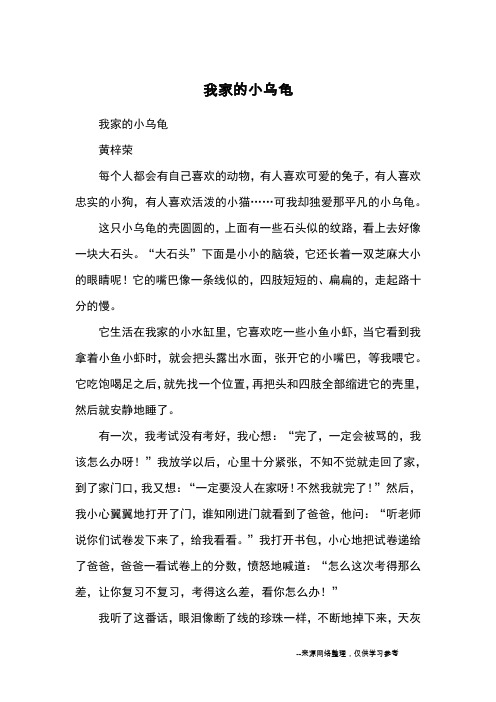 我家的小乌龟_优秀作文_2