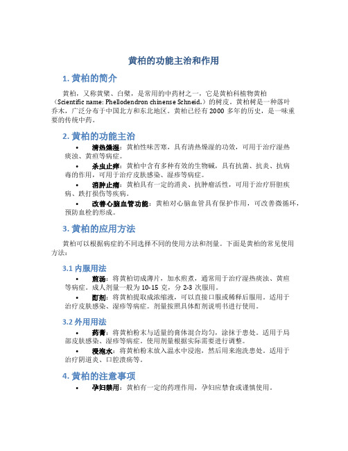 黄柏的功能主治和作用