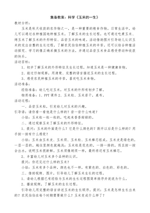 磨课《玉米的一生》